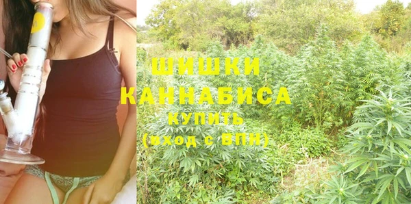 эйфоретик Бородино