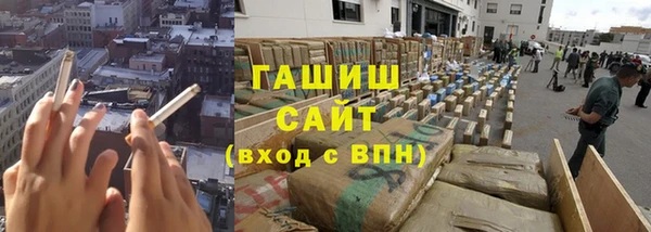 эйфоретик Бородино