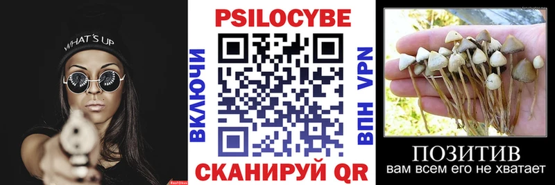 Псилоцибиновые грибы мухоморы  Астрахань 